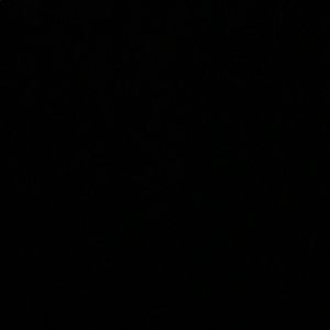 Meet your Posher, Ellie